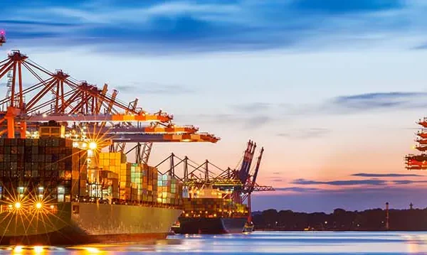 rc24 bsa global trade management